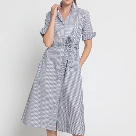 EUC Hinson Wu Charlie Refined Cotton Stripe Check Shirt Style Midi Dress SMALL - Picture 1 of 10